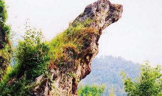 黄山奇石仙女弹琴图片 黄山奇石仙女弹琴图片